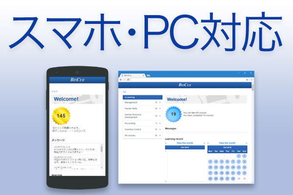 BISCUE eラーニング PowerPoint(R)2013 書式と全体構成