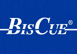 BISCUE eラーニング ビジネス英語初級 リスニング A1（スペイン語対訳付き）
